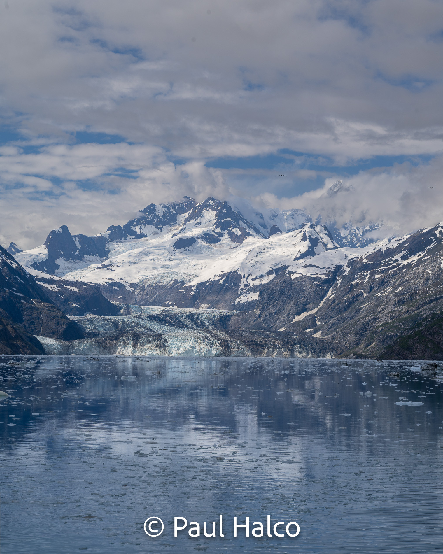 Paul Halco - Glacier Bay NP-34